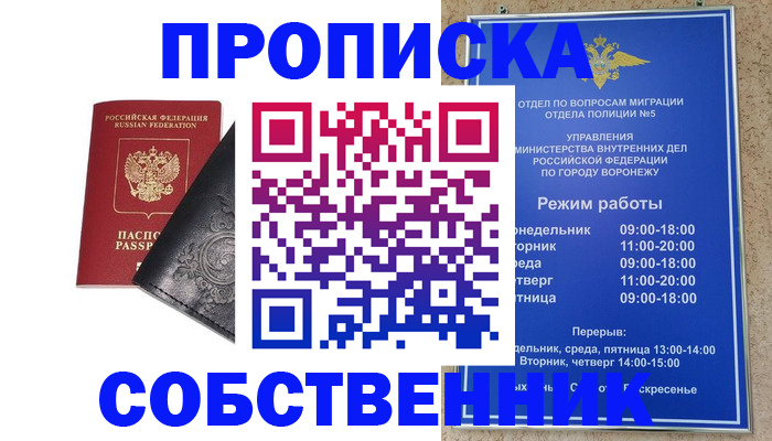 временная регистрация поиск в Лузе